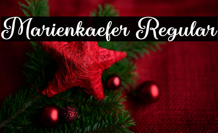 Marienkaefer Regular Example 3