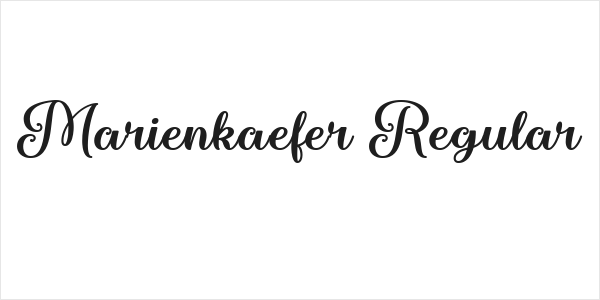 Marienkaefer Regular Logo