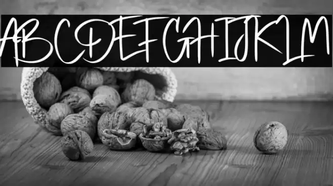 Marietta Sussafe Font examples