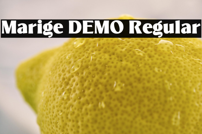 Marige DEMO Regular Example 2