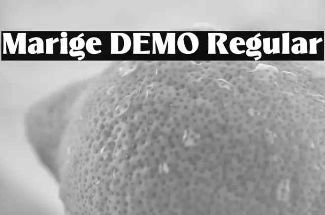 Marige DEMO Regular Example 2