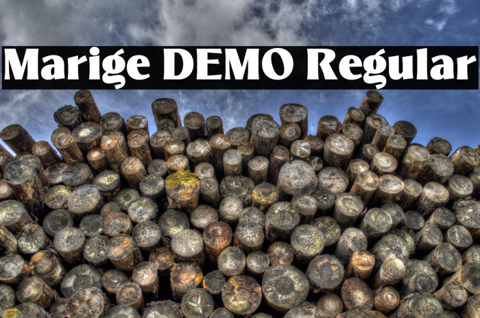 Marige DEMO Regular Example 3