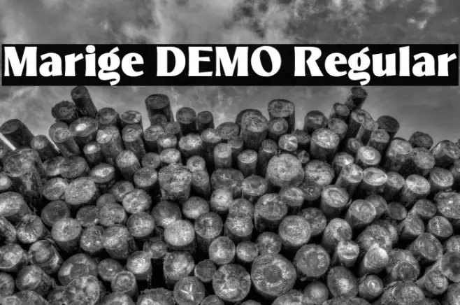 Marige DEMO Regular Example 3
