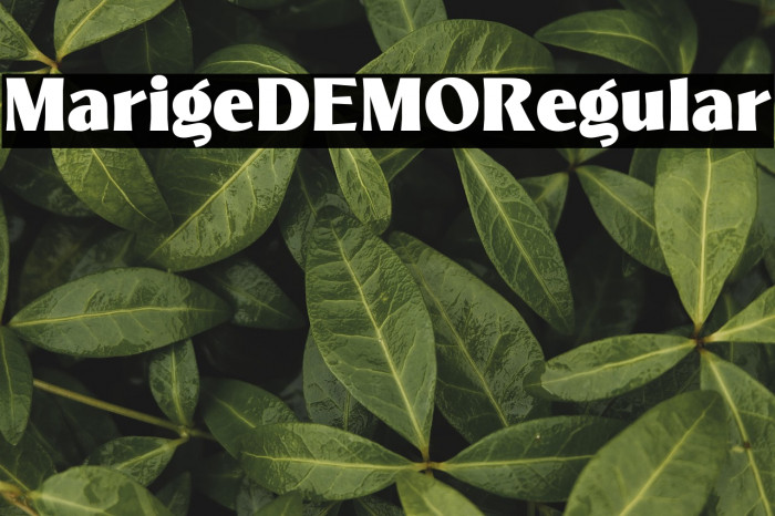 MarigeDEMO-Regular Example 1