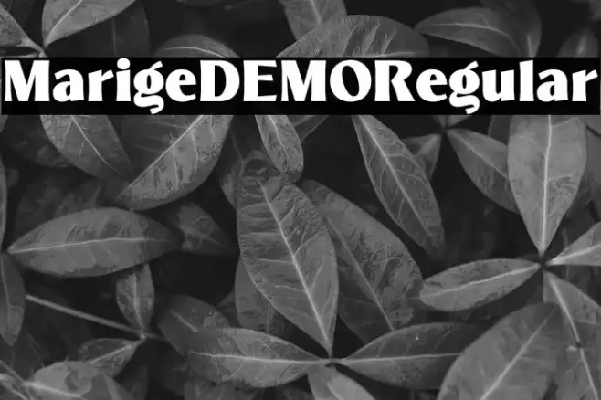 MarigeDEMO-Regular Example 1