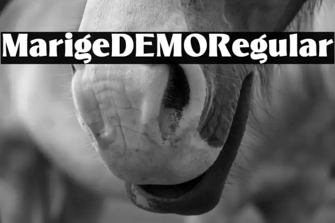 MarigeDEMO-Regular Example 2