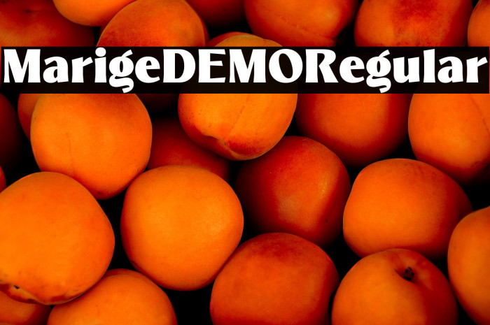 MarigeDEMO-Regular Example 3