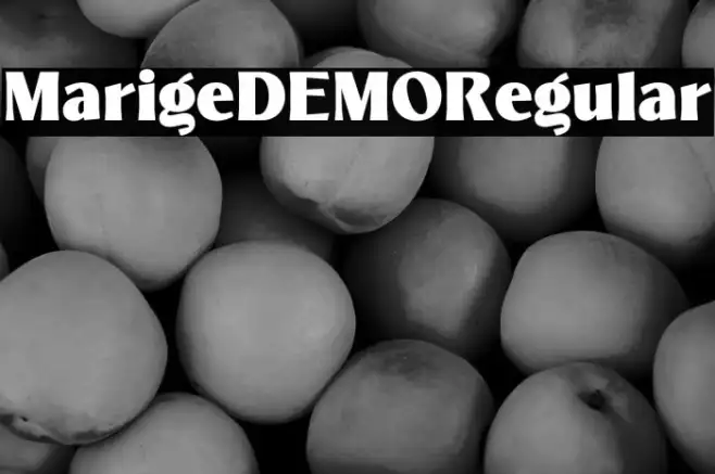 MarigeDEMO-Regular Example 3