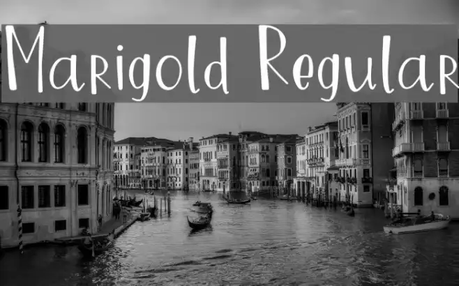 Marigold Regular Example 1