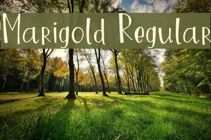 Marigold Regular Шрифта examples