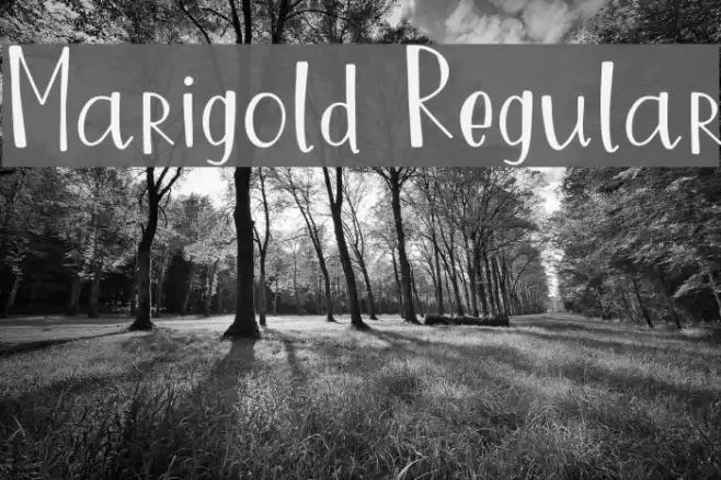 Marigold Regular Example 2