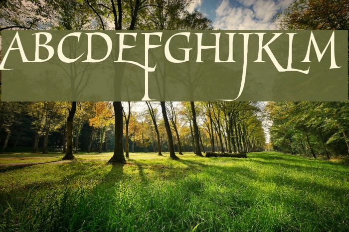 MarigoldWild Font examples