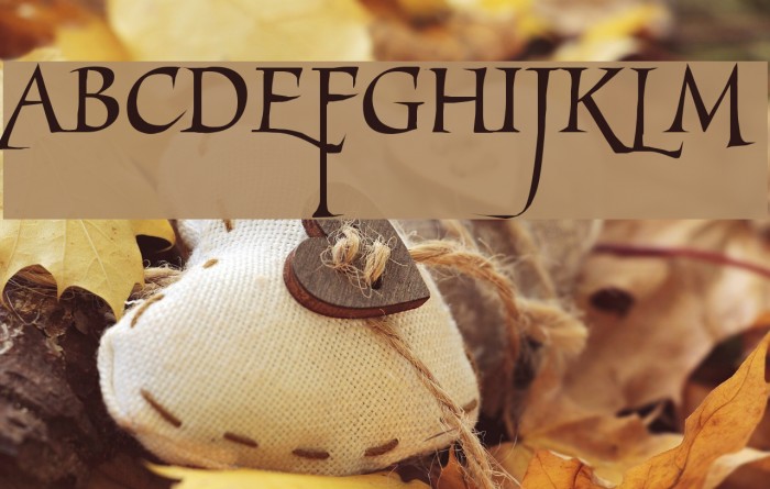 MarigoldWild Font examples