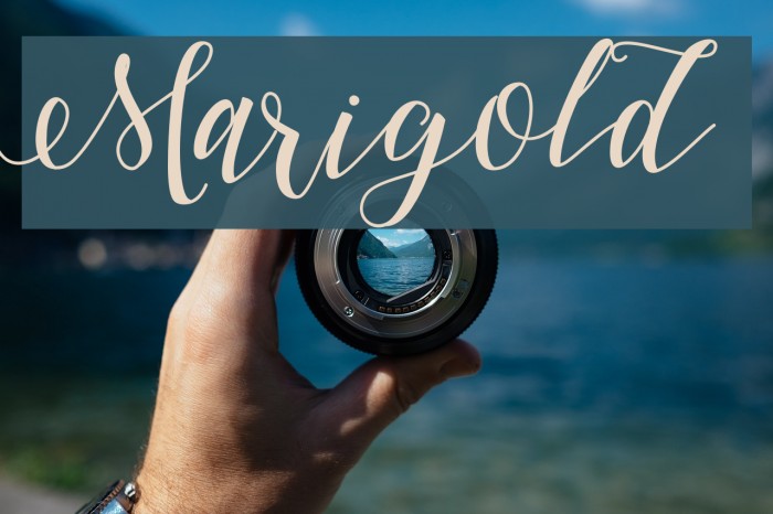 Marigold Font examples