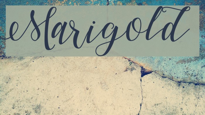 Marigold Font examples