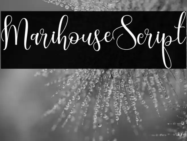 MarihouseScript Font examples