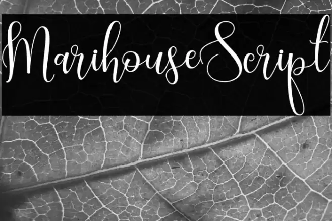 MarihouseScript Font examples