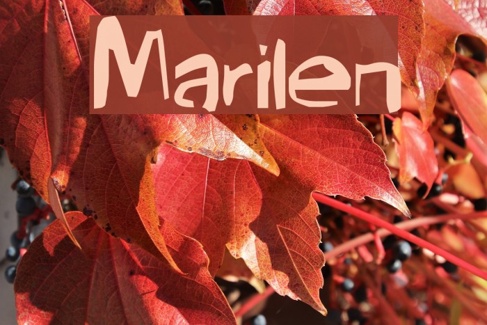 Marilen Font examples
