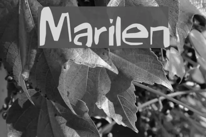 Marilen Example 1