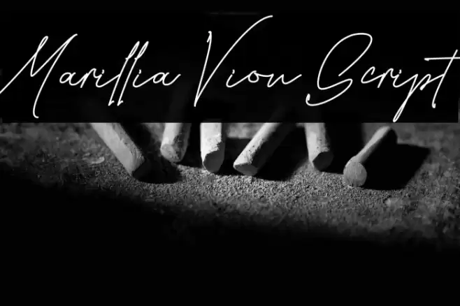 Marillia Vion Script Font examples