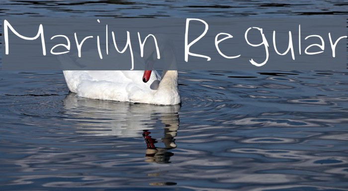 Marilyn Regular Font examples