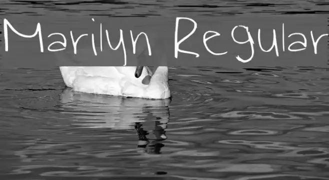 Marilyn Regular Example 1