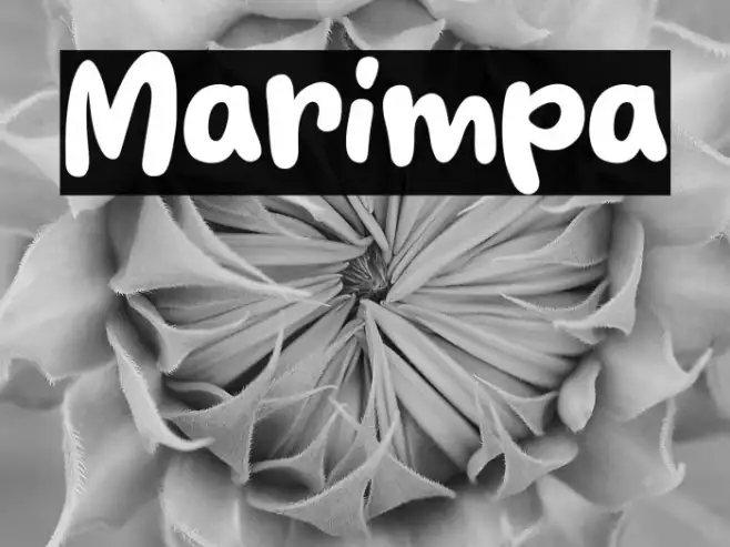 Marimpa Example 3