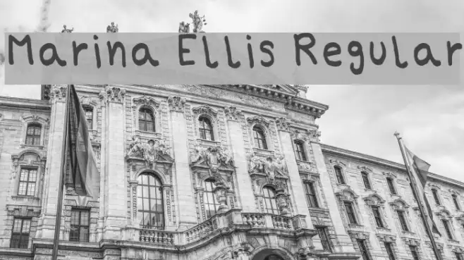 Marina Ellis Regular Example 2