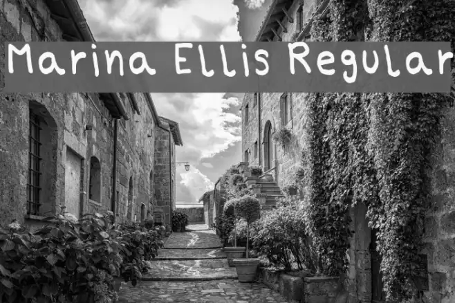 Marina Ellis Regular Example 3