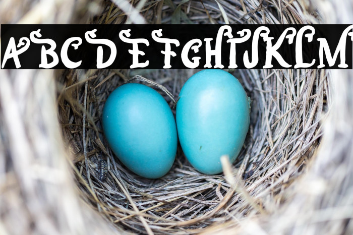 Marina Sundaland Example 1