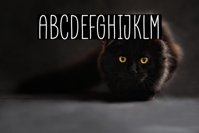 Marinade Demo Example 2