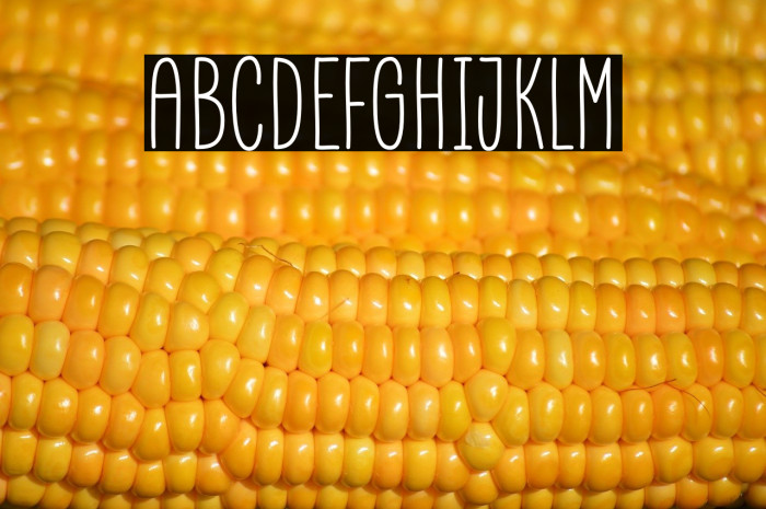 Marinade Demo Example 3