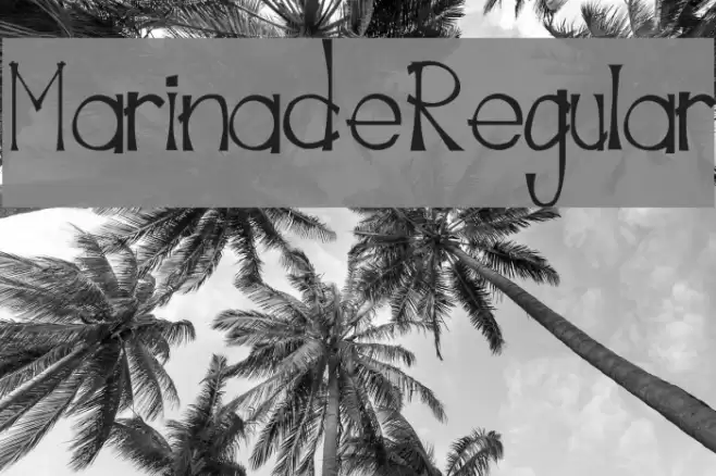 MarinadeRegular Font examples