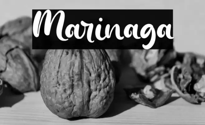 Marinaga Font examples
