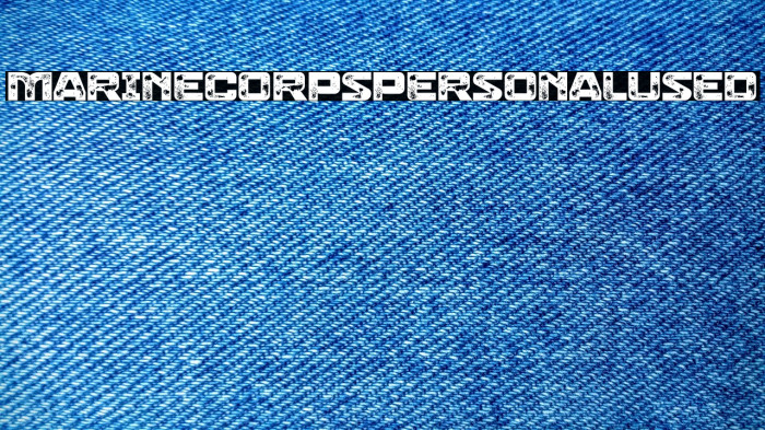 Marine Corps Personal Used Example 2