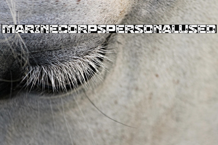 Marine Corps Personal Used Example 3