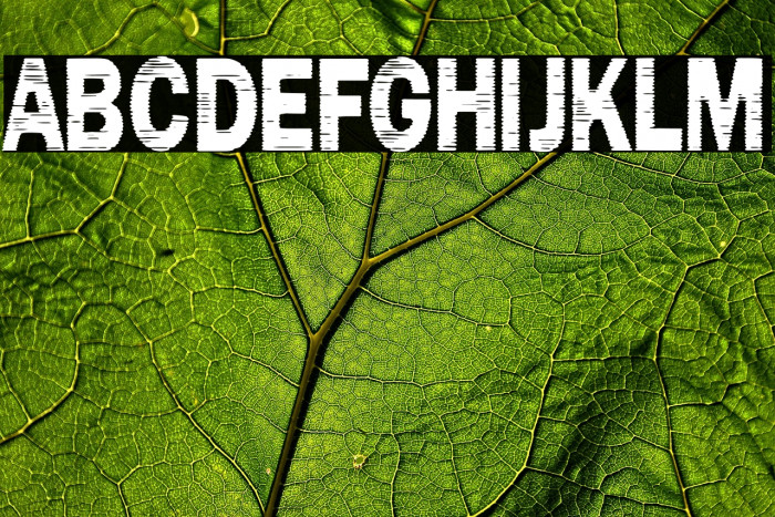 Marinero de Sombras Example 2