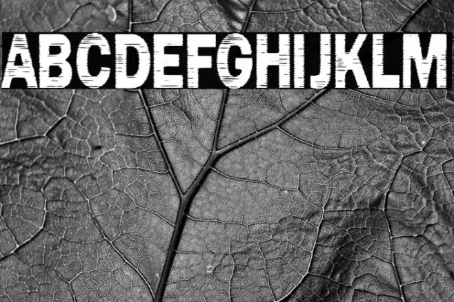 Marinero de Sombras Font examples