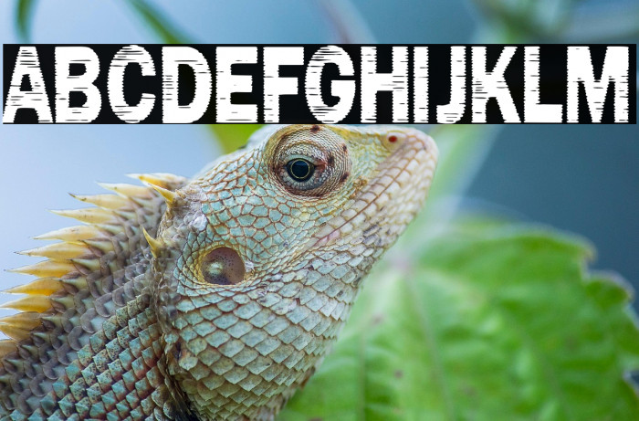 Marinero de Sombras Example 3