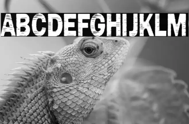 Marinero de Sombras Font examples