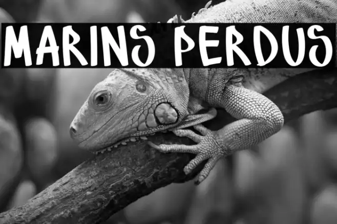 Marins Perdus Example 1