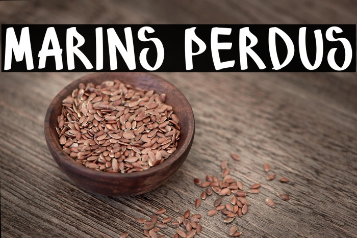 Marins Perdus Example 2