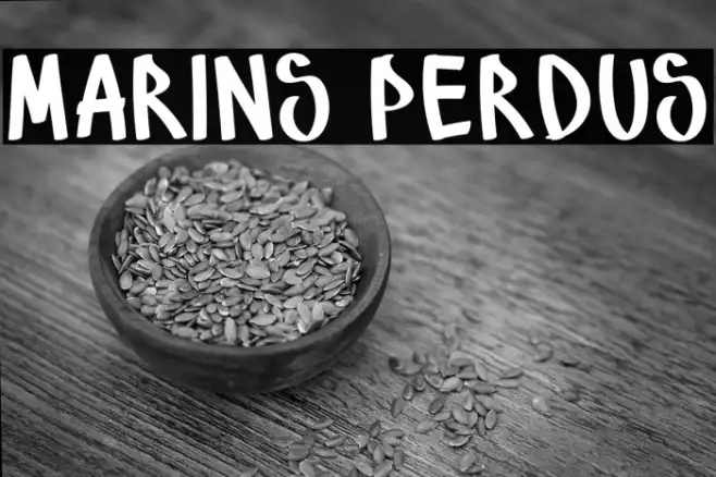 Marins Perdus Example 2