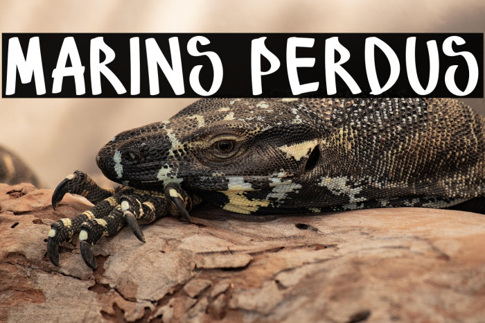 Marins Perdus Example 3