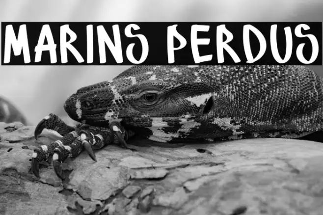 Marins Perdus Example 3