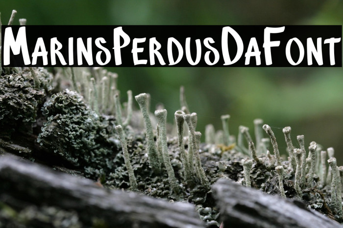 MarinsPerdus-DaFont Example 1