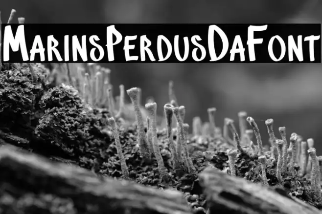 MarinsPerdus-DaFont Example 1