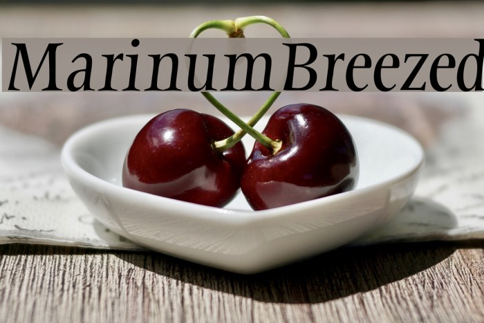 MarinumBreezed Font examples
