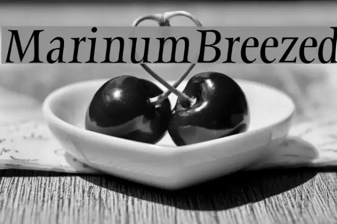 MarinumBreezed Example 2