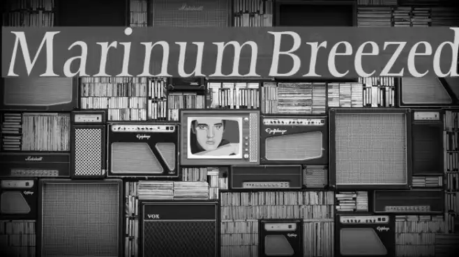 MarinumBreezed Example 3
